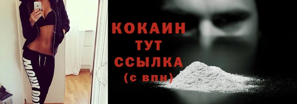 кокс Алексин