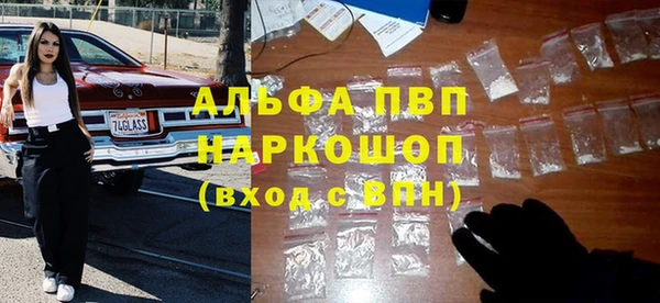 эйфоретик Алзамай