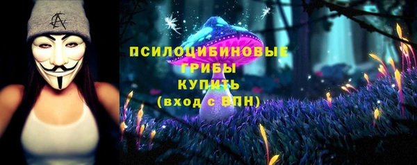 круглые Алексеевка